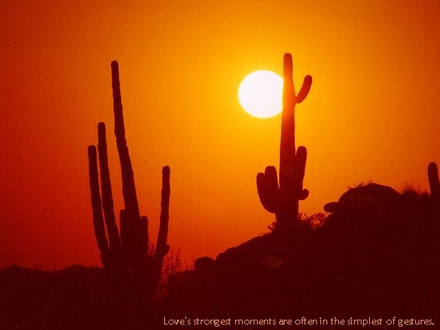 Sunset, Arizona