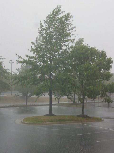 Rainstorm, office window, Chantilly, Virginia