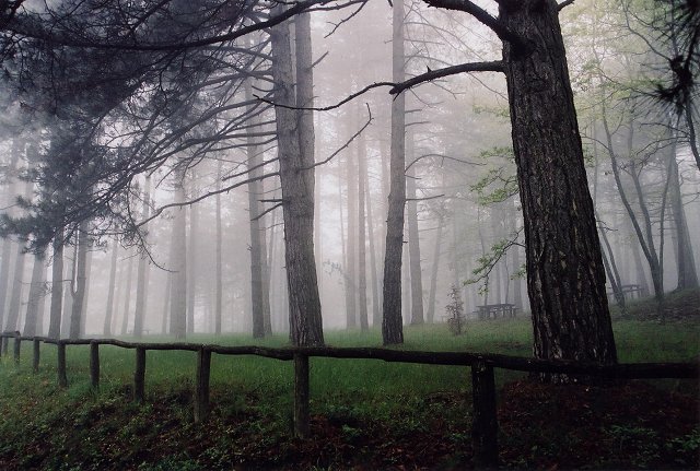 Park, Bagnoro, Tuscany, Italy