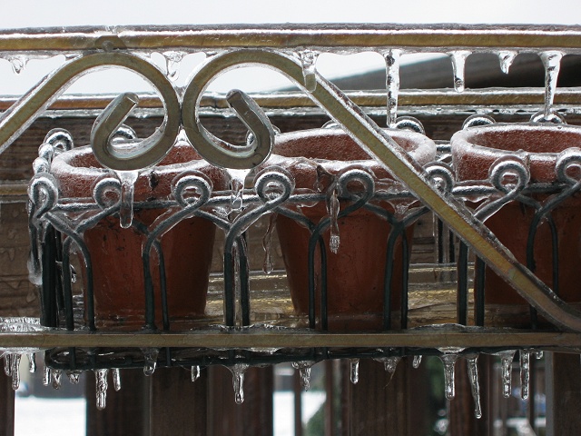 Ice storm, Fairfax, Virginia