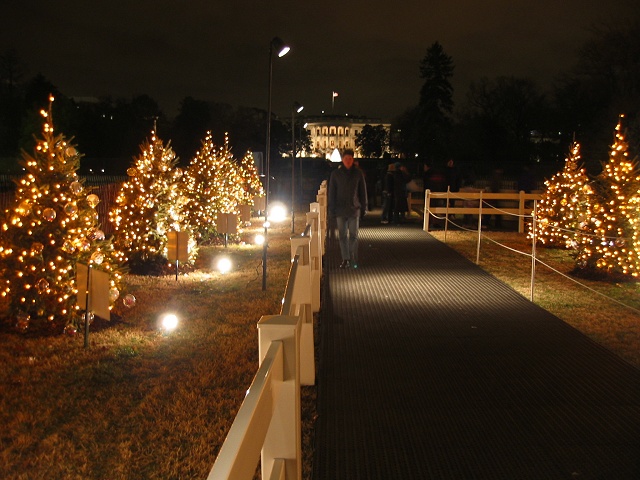 State Christmas trees in front of White House, Washington DC