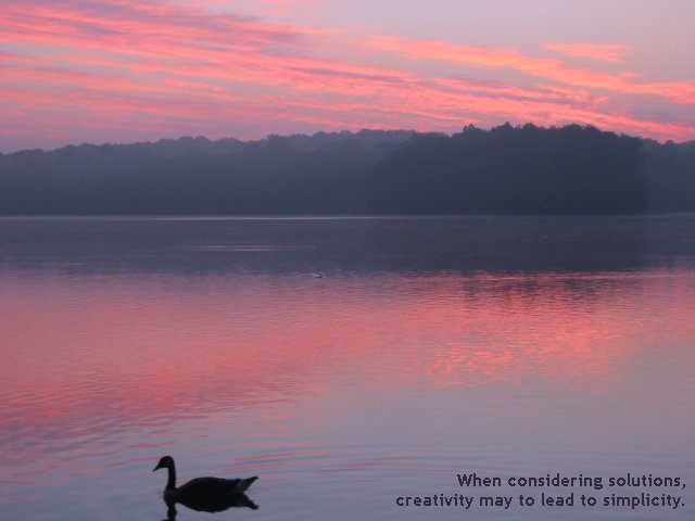 Summer morning, Burke Lake, Fairfax, Virginia