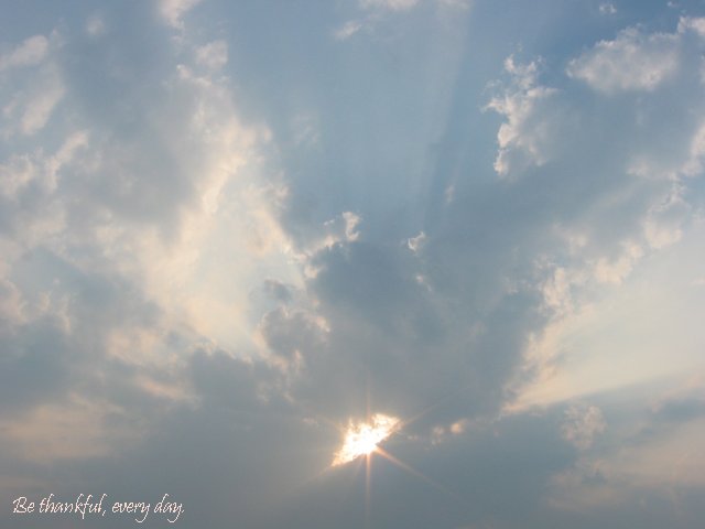 Summer morning sky, Fairfax, Virginia