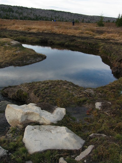 Dolly Dods, Monongahela National Forest, West Virginia
