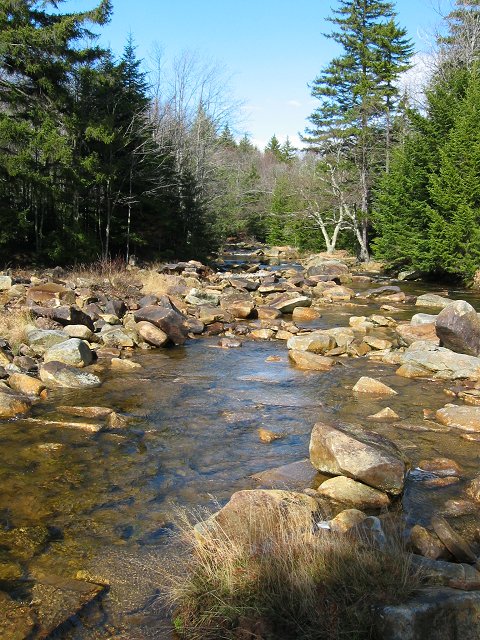 Dolly Dods, Monongahela National Forest, West Virginia
