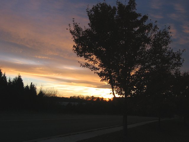 Fall sunset, Chantilly, Virginia
