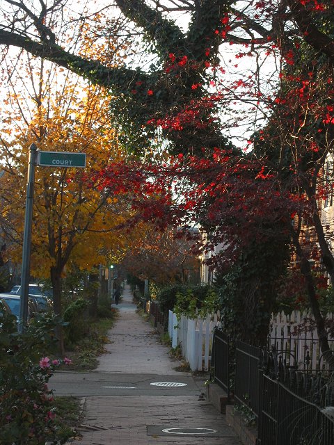 Capitol Hill, winter afteroon, Washington, DC