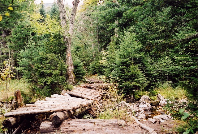 Sentier du Toit des Laurentides, MontTremblant, Quebec