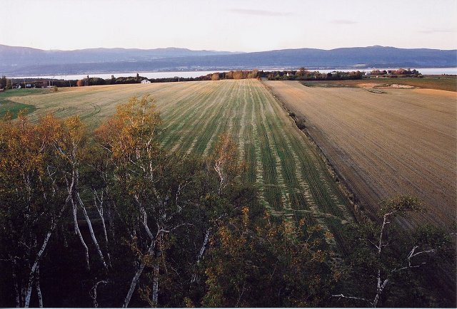 Saint Francois, Ile d'Orleans
