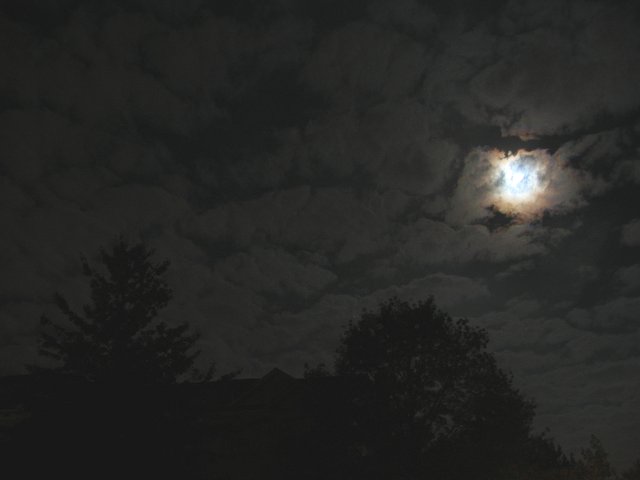 Full moon on fall morning, Fairfax, Virginia