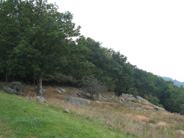 Shenandoah National Park