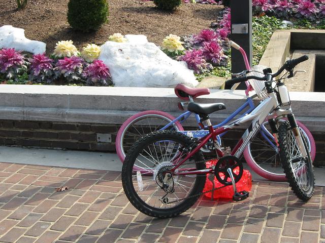 Bikes on King Street, Old Town Alexandria, Virginia