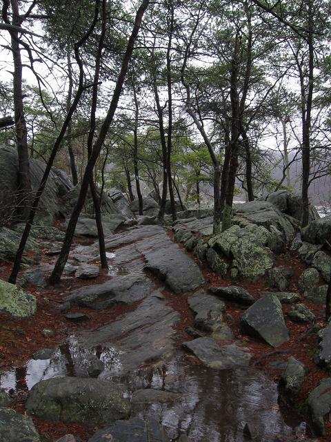 Billy Goat Trail, Section A in rain, Great Falls, Maryland