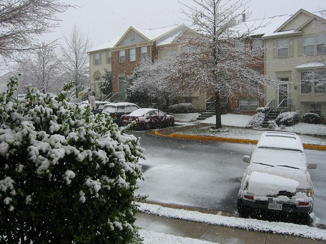 Late spring snowstorm, Fairfax, Virginia