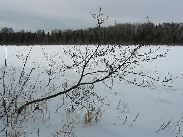 Winter, northern Minnesota