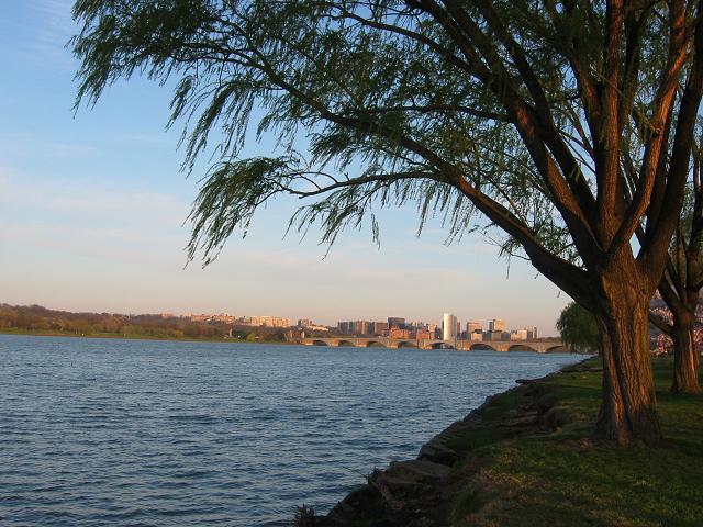 View of Rosslyn, Virginia from Washington, DC (near FDR Memorial)
