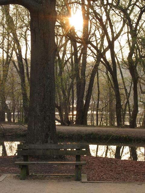 Great Falls National Park, Tow Path near Mile 15, Maryland