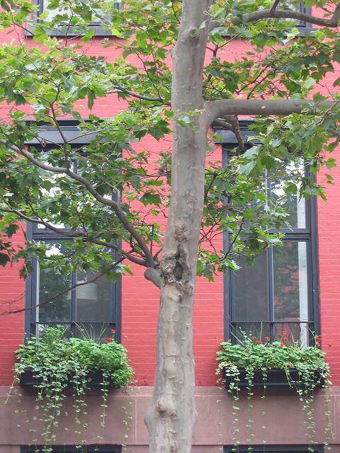 Row house in north Greenwich Village, New York