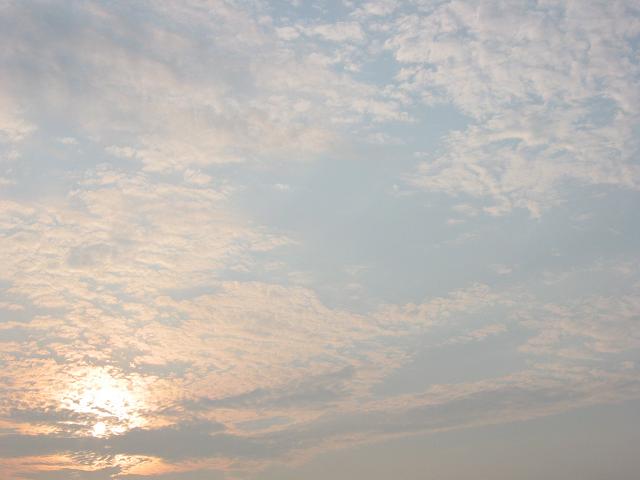 Summer morning, Fairfax, Virginia