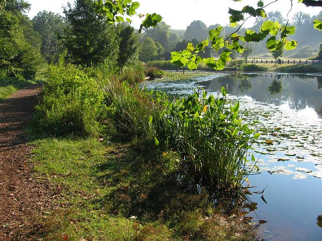 Pond, Eleanor C. Lawrence Park, Centreville, Virginia