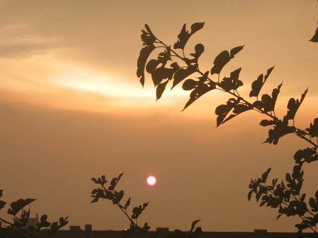 Sunset after rainstorm, Chantilly, Virginia