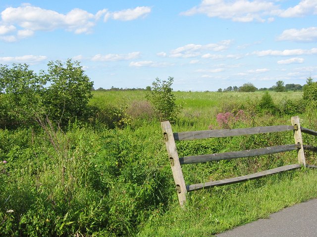 Along the WO&D bike trail, en route to Purcelville, Virginia