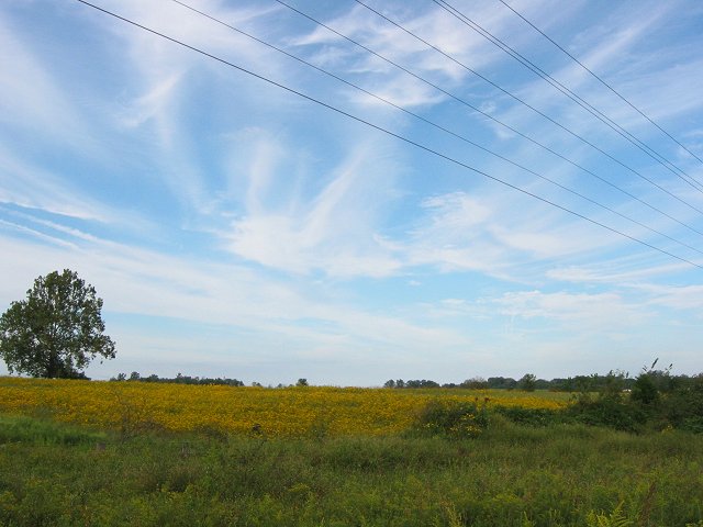 Along the WO&D Trail, Purcelville, Virginia