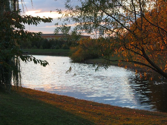 Autumn sunset, Chantilly, Virginia
