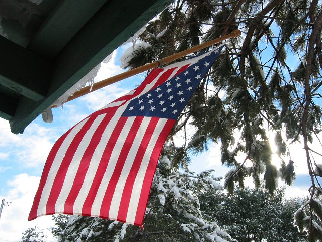 Flag and melting icicles, Creekview Tree Farm, Virginia