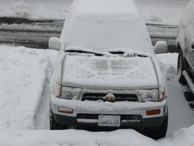 Autumn snow storm, Fairfax, Virginia