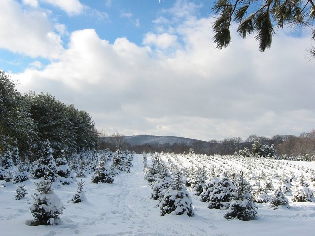 Creekview Farm in snow, Haymarket, Virginia