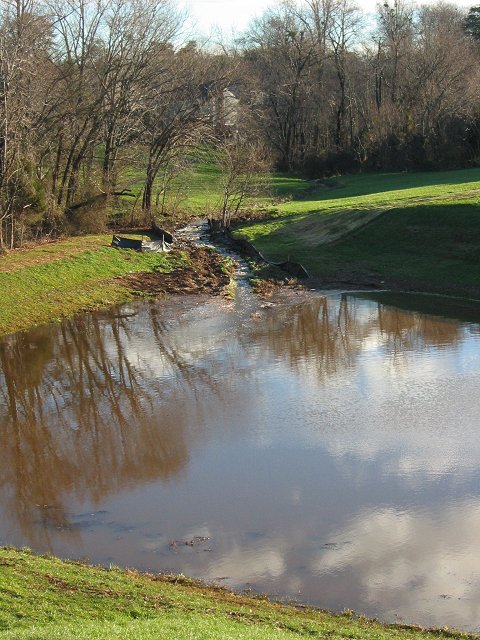 Sunny morning after rainstorm, Fairfax, Virginia