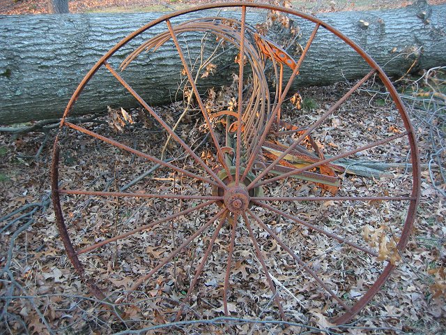 Old rake, crushed by tree during windstorm, Lanham, Maryland