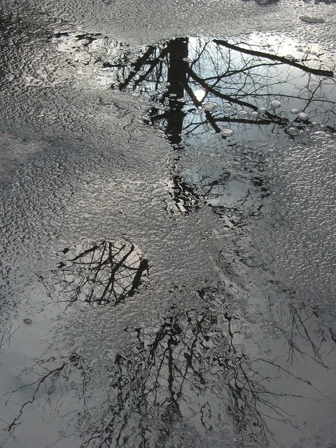 Winter sky reflection in melted snow, Chantilly, Virginia