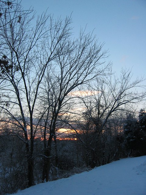 Sunrise on winter morning, Chantilly Virginia