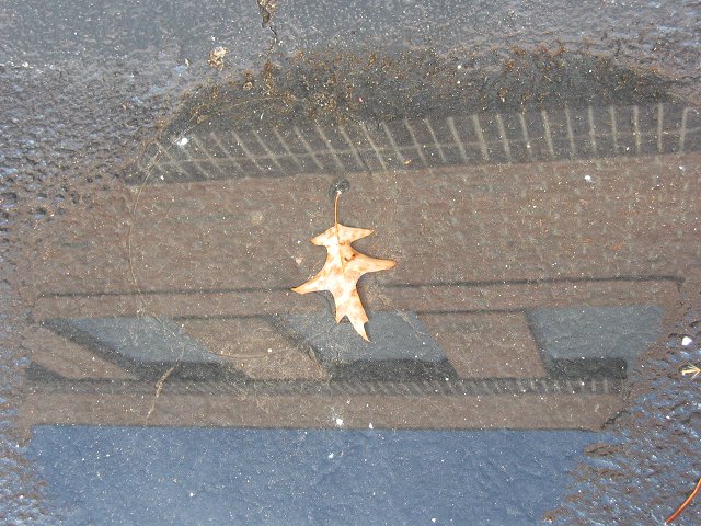 Building reflection with leaf, Chantilly, Virginia