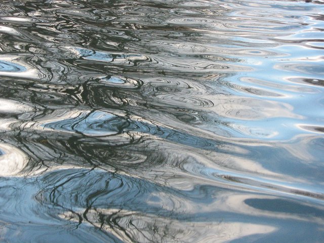 Reflection of trees in canal along Potomac River near Swain's Lock, Maryland