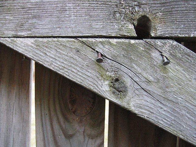 Fence door, Fairfax, Virginia