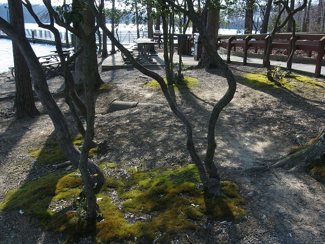 Burke Lake Park, Fairfax, Virginia