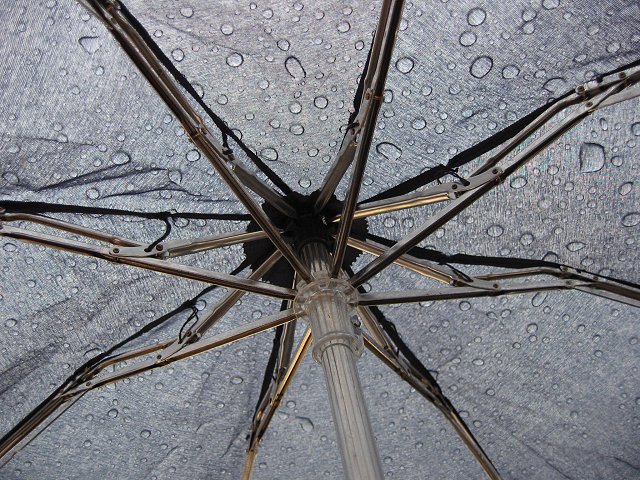 Under the ubmrella on a rainy morning, Fairfax, Virginia