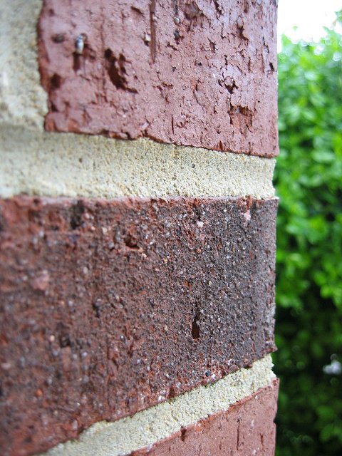 Brick wall on grey morning, Fairfax, Virginia