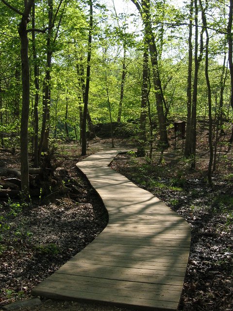 Boardwalk to climbing area, Carderock, Maryland