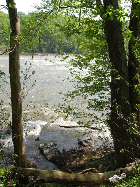 Potomac River along Billy Goat Trail, section C, Great Falls, Maryland