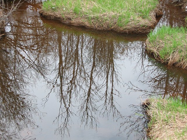 Reflection in stream, Duluth Airport, Minnesota