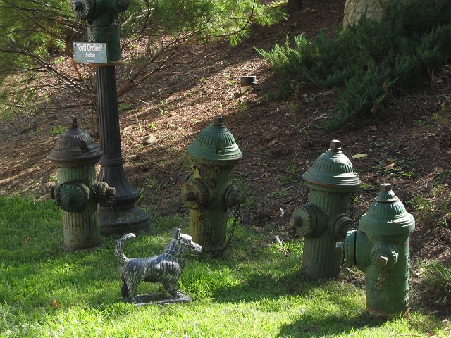 Ruff Choice Sculpture, Merriweather Post Pavillion, Columbia, Maryland